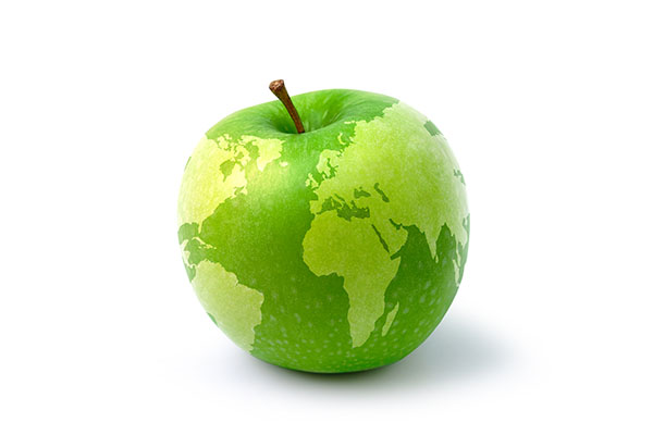 Apple as a globe_harmonized nutrients